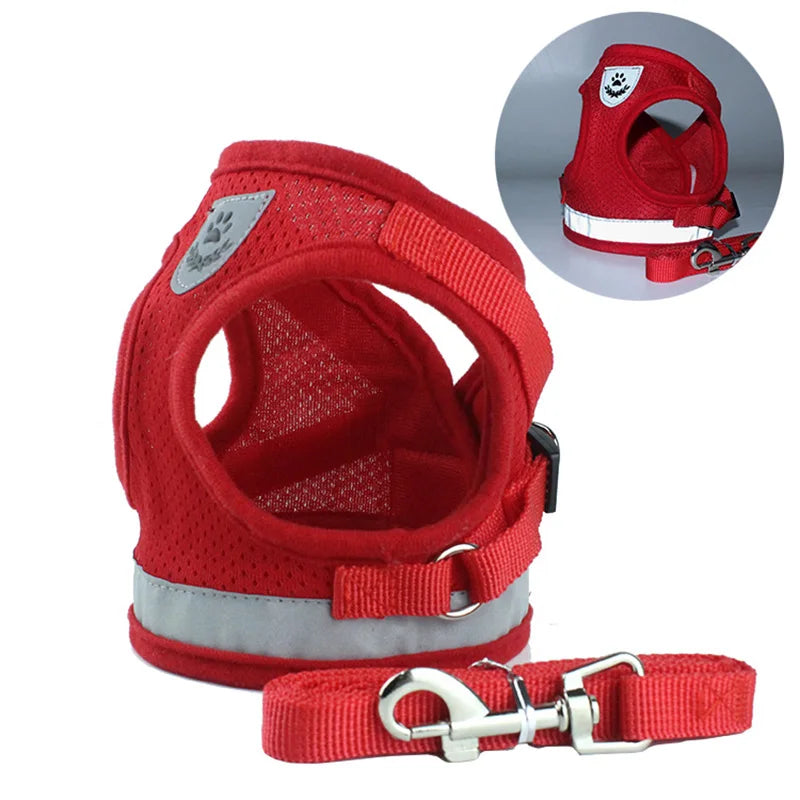 Reflective Cat Harness And Leash Set