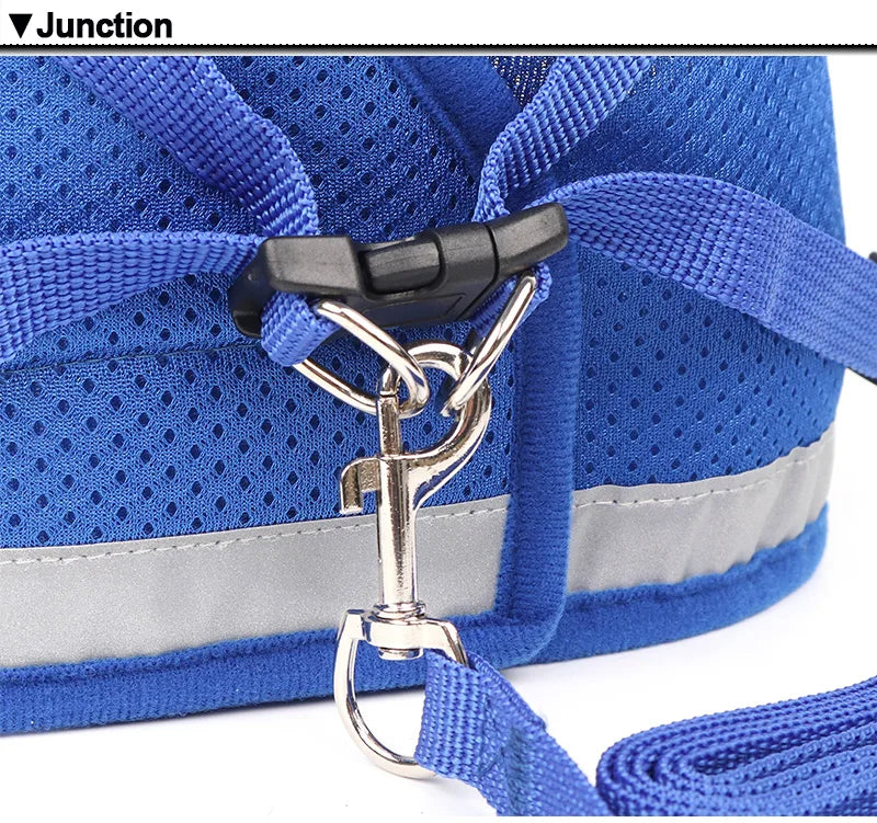 Reflective Cat Harness And Leash Set