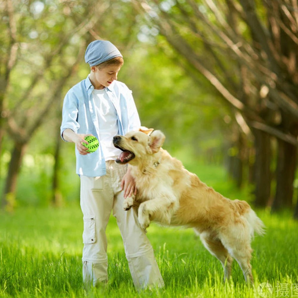 Chewing Toys for Teeth Cleaning (Non toxic)