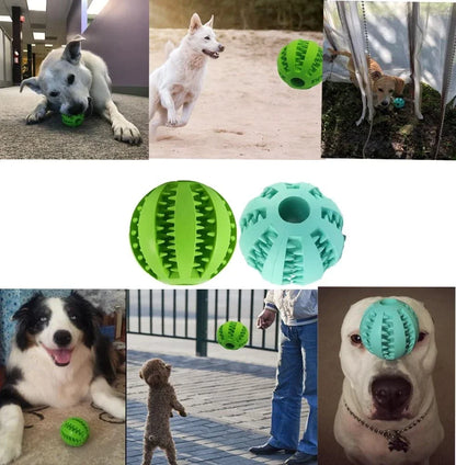 Chewing Toys for Teeth Cleaning (Non toxic)