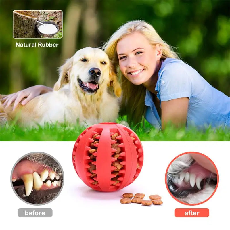 Chewing Toys for Teeth Cleaning (Non toxic)