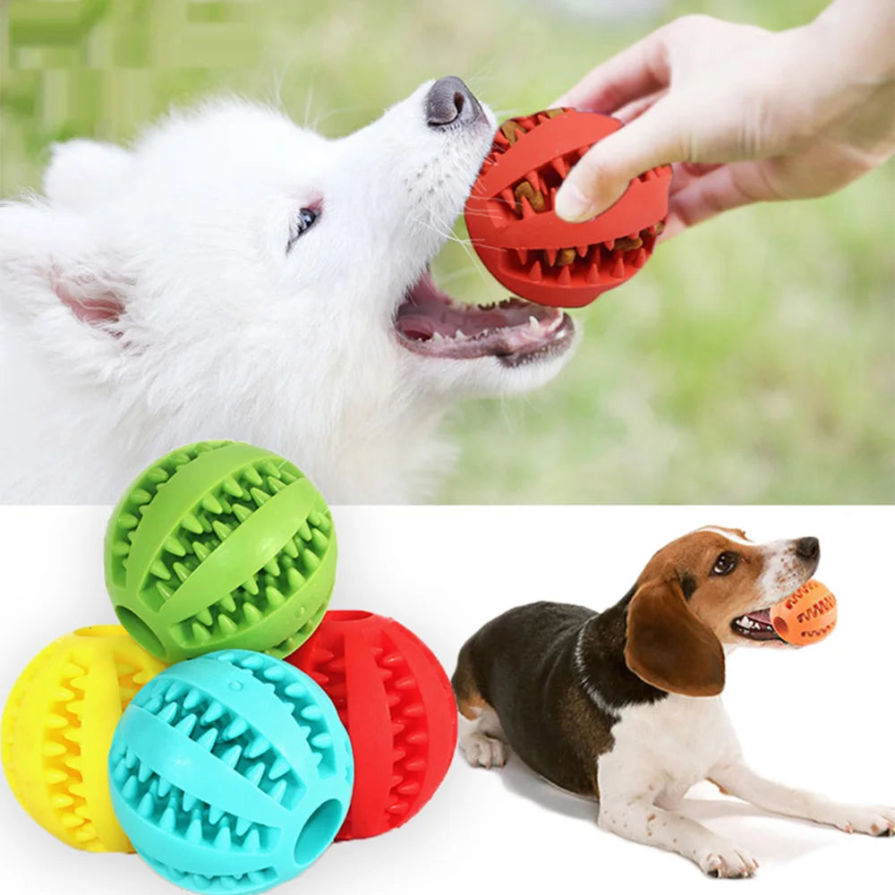 Chewing Toys for Teeth Cleaning (Non toxic)